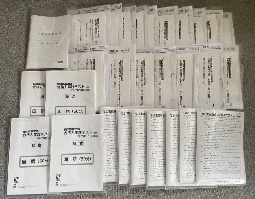 日能研 6年 学習力育成 合格力育成 合格力実践 テストほか 1年分