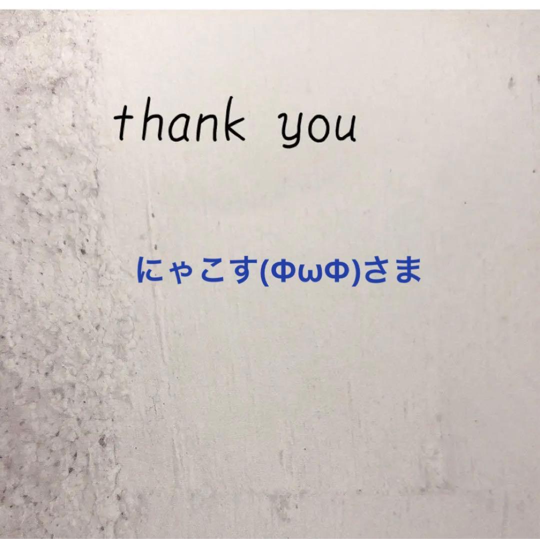 にゃこす(ΦωΦ)さま　レジン　ハンドメイド　ヘアゴム