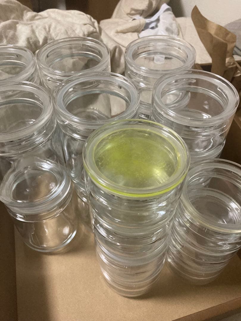 星硝 Cellamate（セラーメイト）チャーミークリアー　L3 S3