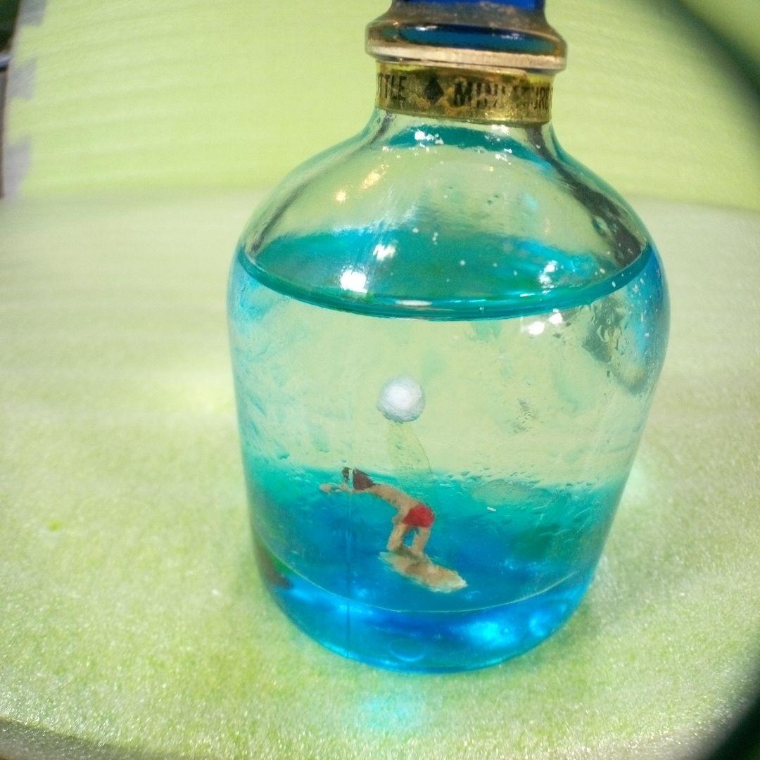 BIG WAVE　Rose Castle　サーフィン　ボトル型置物　オイルドーム