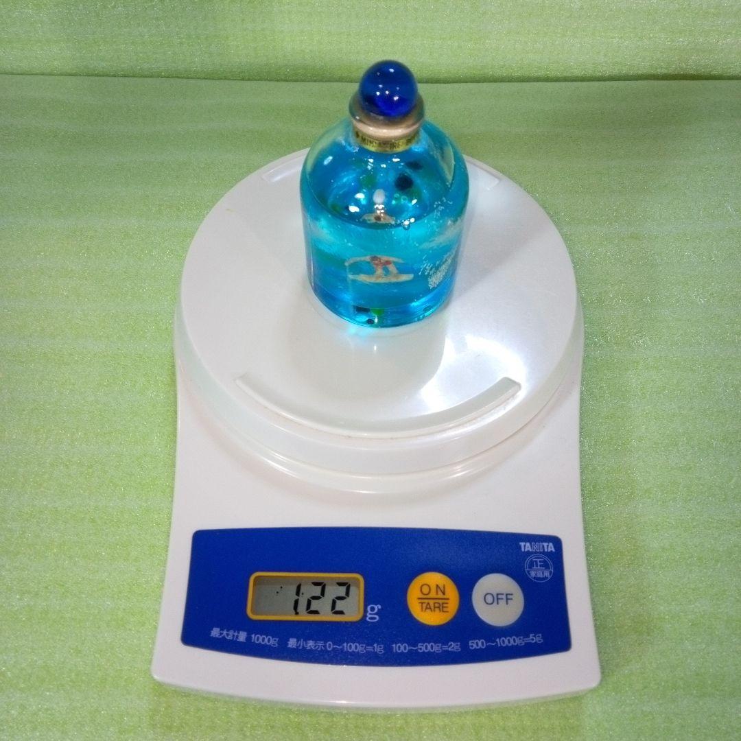 BIG WAVE　Rose Castle　サーフィン　ボトル型置物　オイルドーム