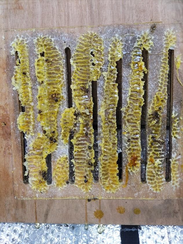 日本蜜蜂 重箱式巣箱4段 スライド底板 t付巣門台座　スノコ付き　セット割有