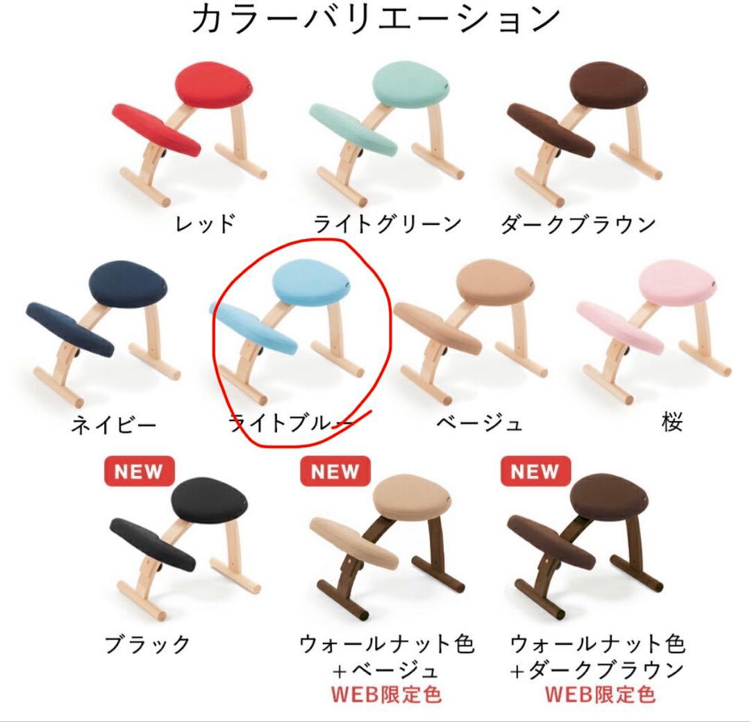 balans Easy バランスイージー サカモト バランスチェア