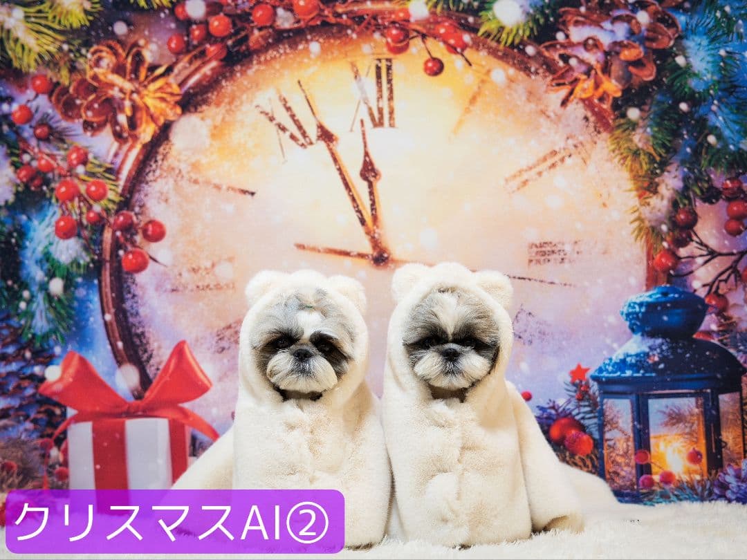 業務用　2026年お正月トリミングチョーカー+背景布×3　ペット、犬撮影用ブース