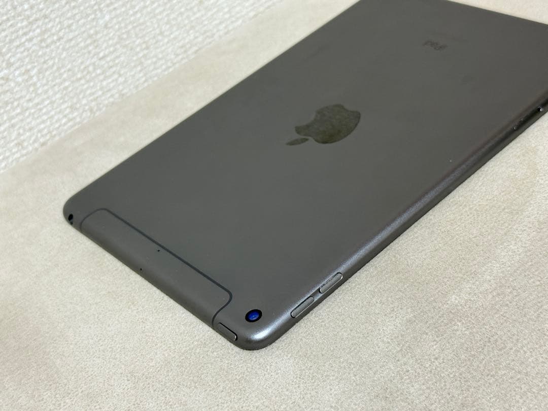 Ipad mini 第5世代256GB WI-FI＋ cellular