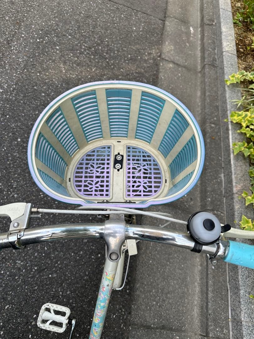 文京区引き取り限定です⭐︎ 水色 ブリヂストン ECOPAL グリーン 24インチ