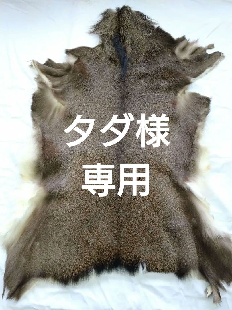 日本鹿　鹿敷物　ラグマット　キャンプアイテム