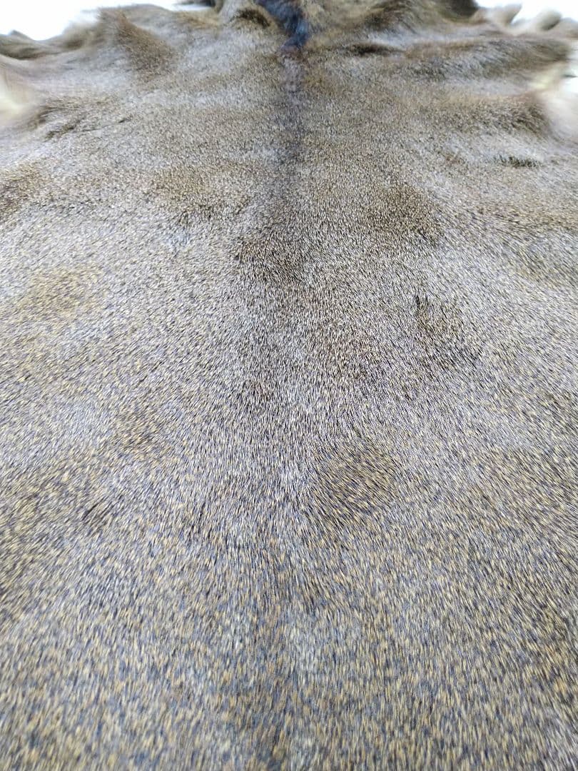 日本鹿　鹿敷物　ラグマット　キャンプアイテム