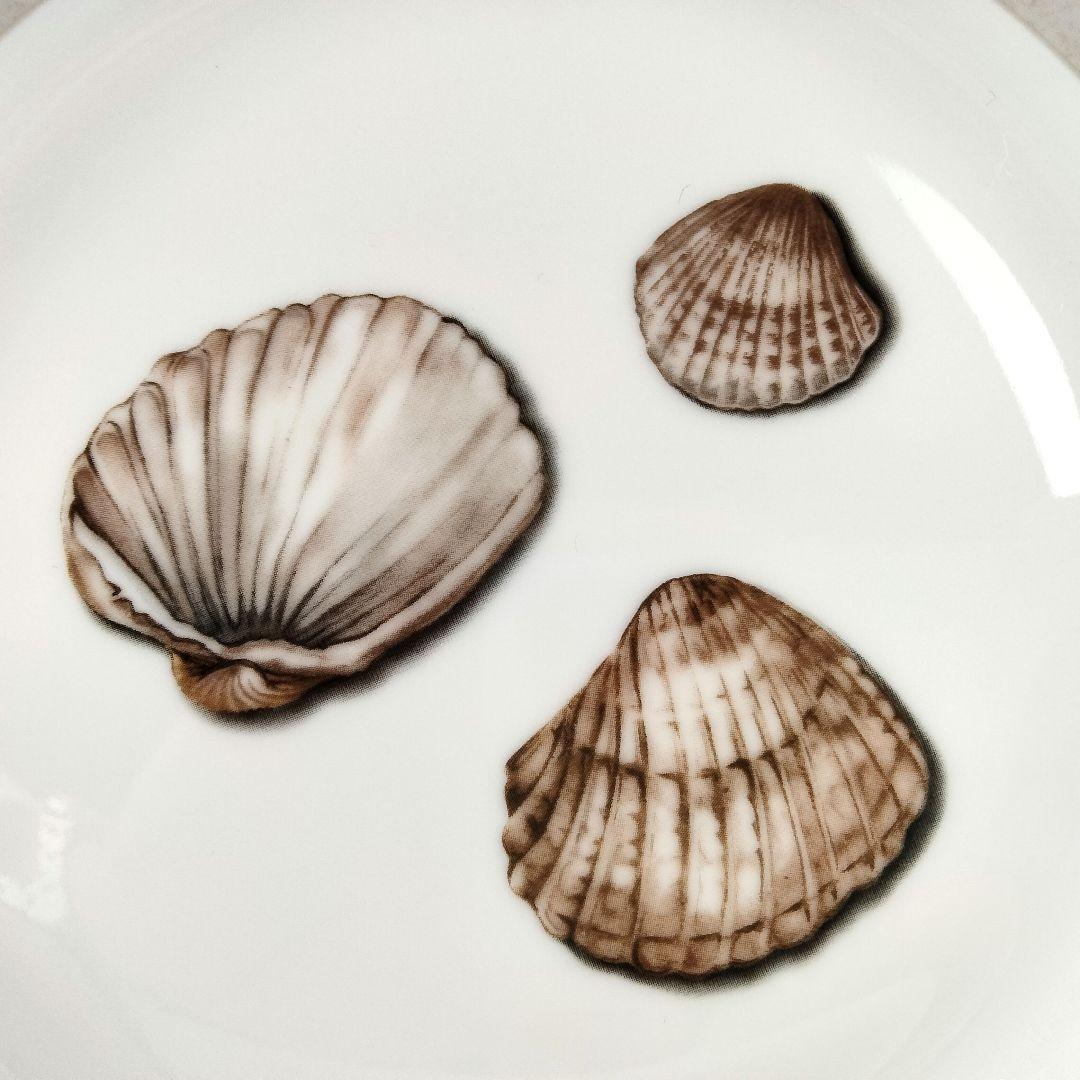 ピエール・フレイ リモージュ プレート 21.5㎝ 貝 6枚セット 未使用品