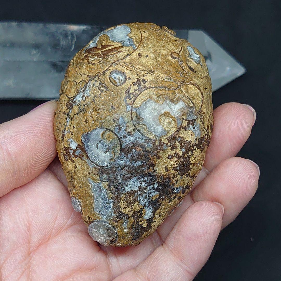 アラシャン金銭眼石 原石 天然小物入り 瑪瑙穴付き 置物 ゴビ瑪瑙 ゴビ石