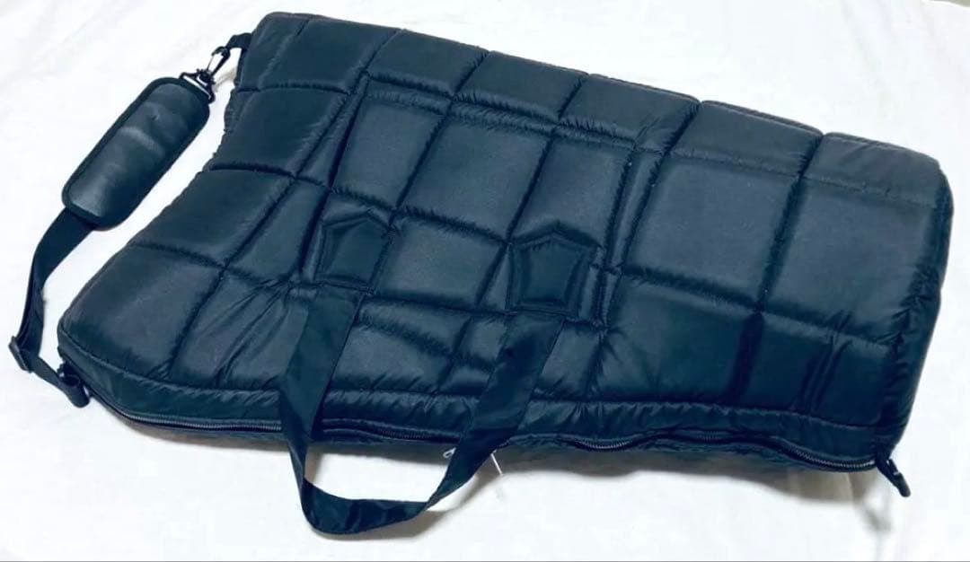 AOYAMA 25S 青山ハープ 25弦 コンパクト ノンペダル 軽量 ケース付