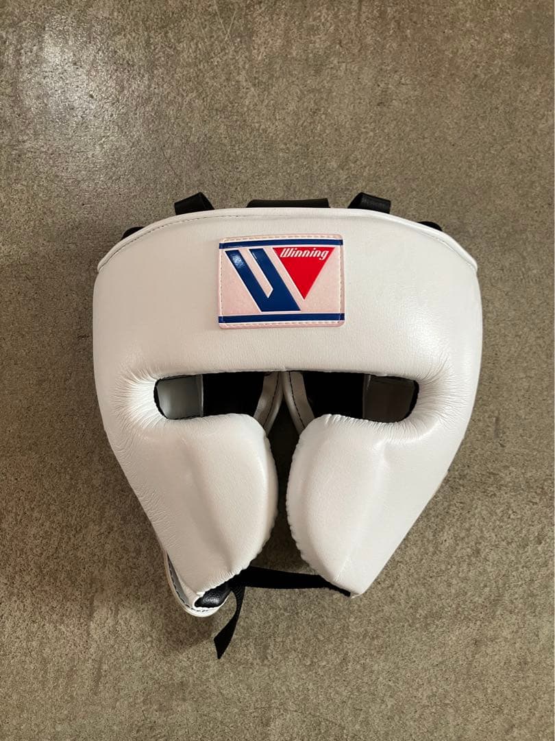 Winning ヘッドギア フルフェイスタイプ ホワイト M FG-2900