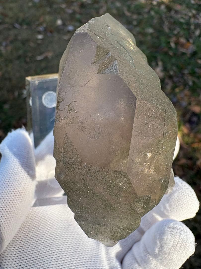 【匿名発送】フランス産スモーキーグインデル