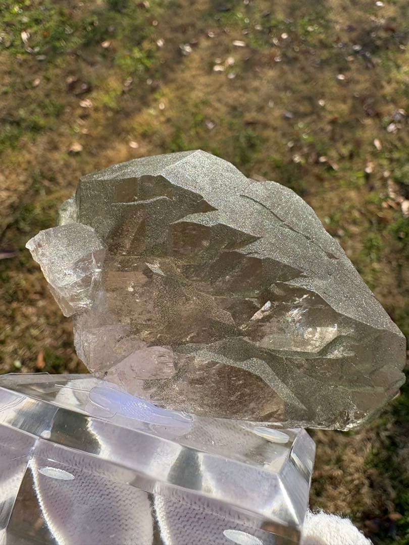 【匿名発送】フランス産スモーキーグインデル