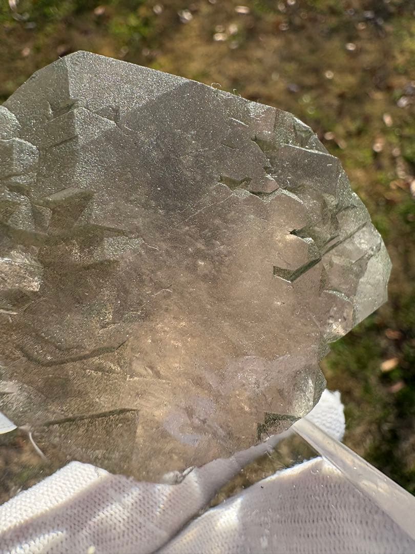 【匿名発送】フランス産スモーキーグインデル