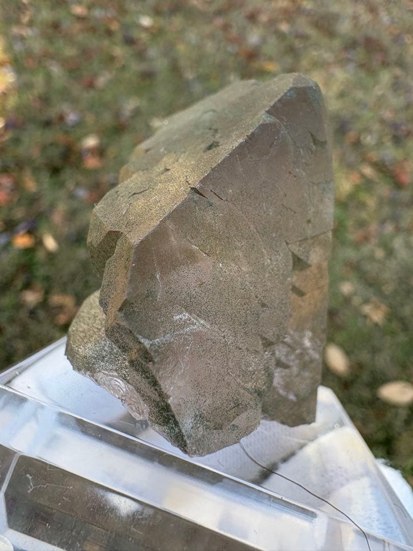 【匿名発送】フランス産スモーキーグインデル