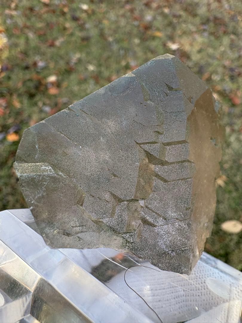 【匿名発送】フランス産スモーキーグインデル