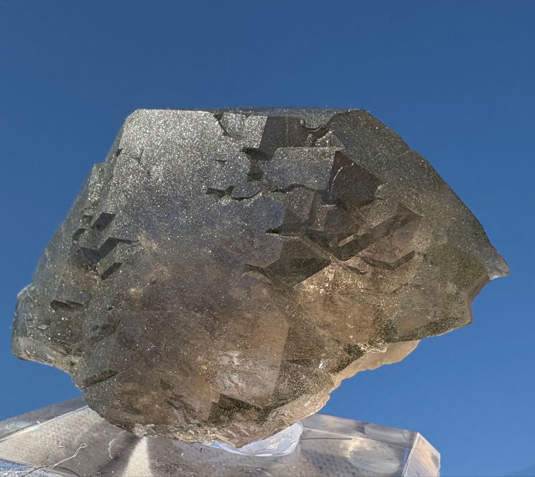 【匿名発送】フランス産スモーキーグインデル