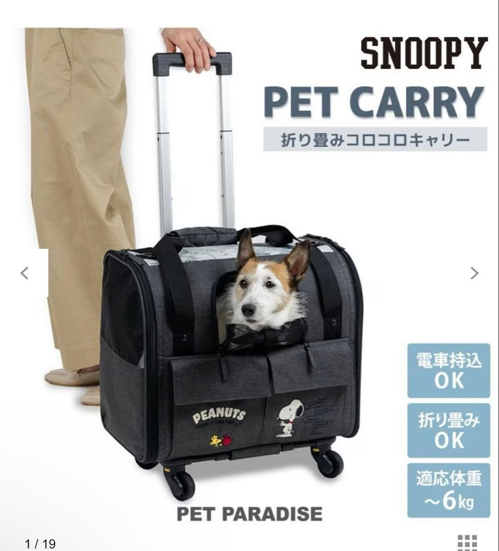 ペットパラダイス　スヌーピー　キャリーバッグ