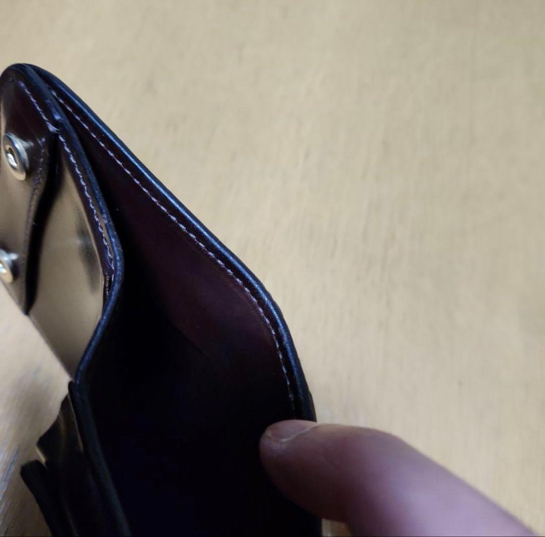 ワイルドスワンズ　クロコダイルパーム