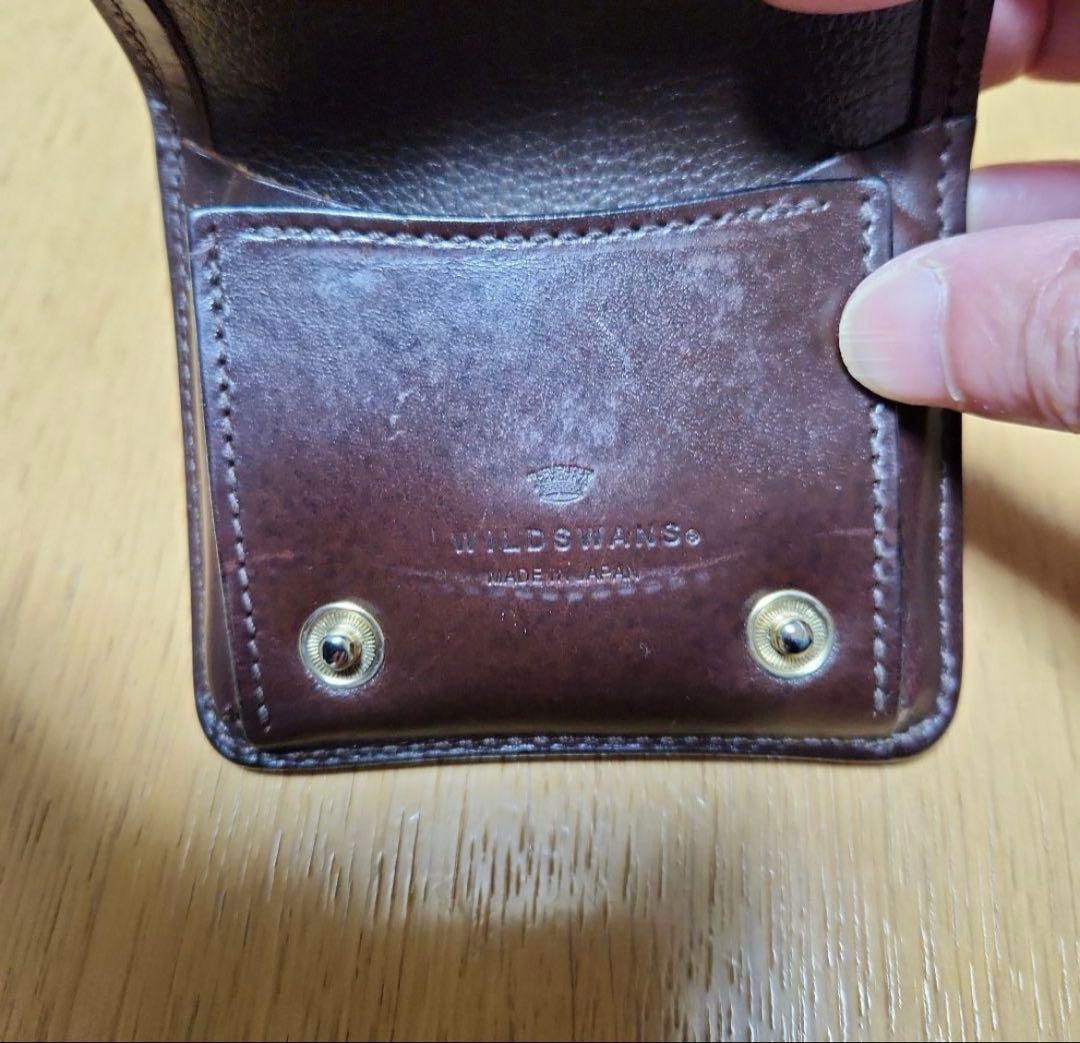 ワイルドスワンズ　クロコダイルパーム