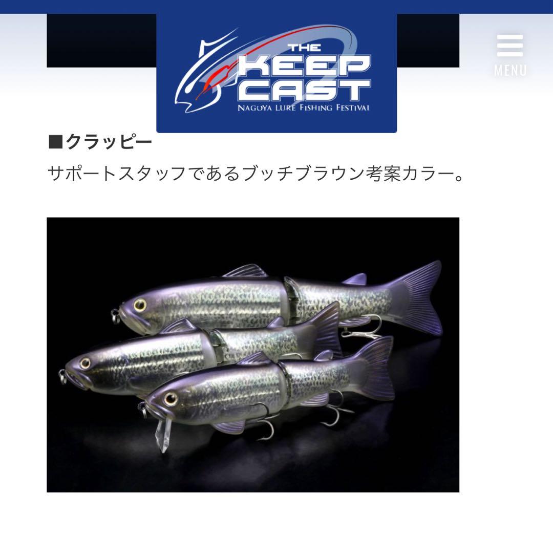 希少 new SLIDE SWIMMER 250 キープキャスト限定カラー