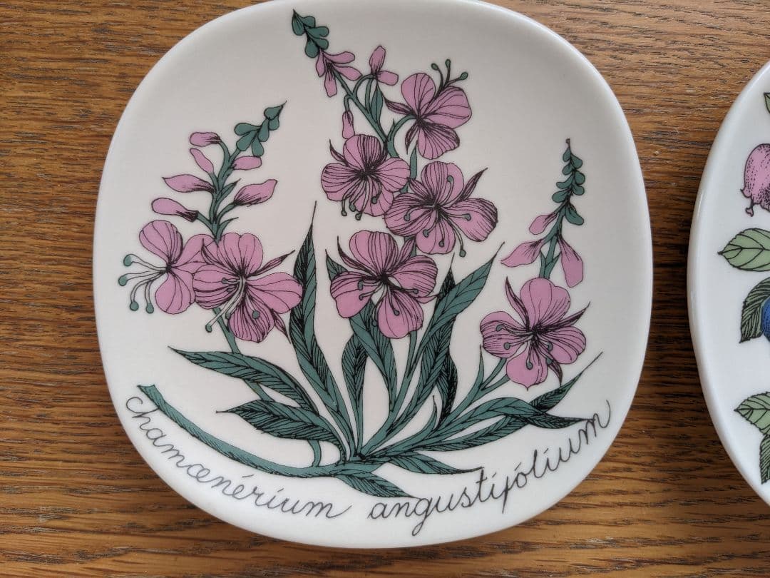 値下げ！ arabia Esteri Tomula　エステリ・トムラ　ボタニカ