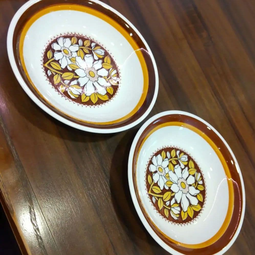 お花柄のお皿２枚          専用