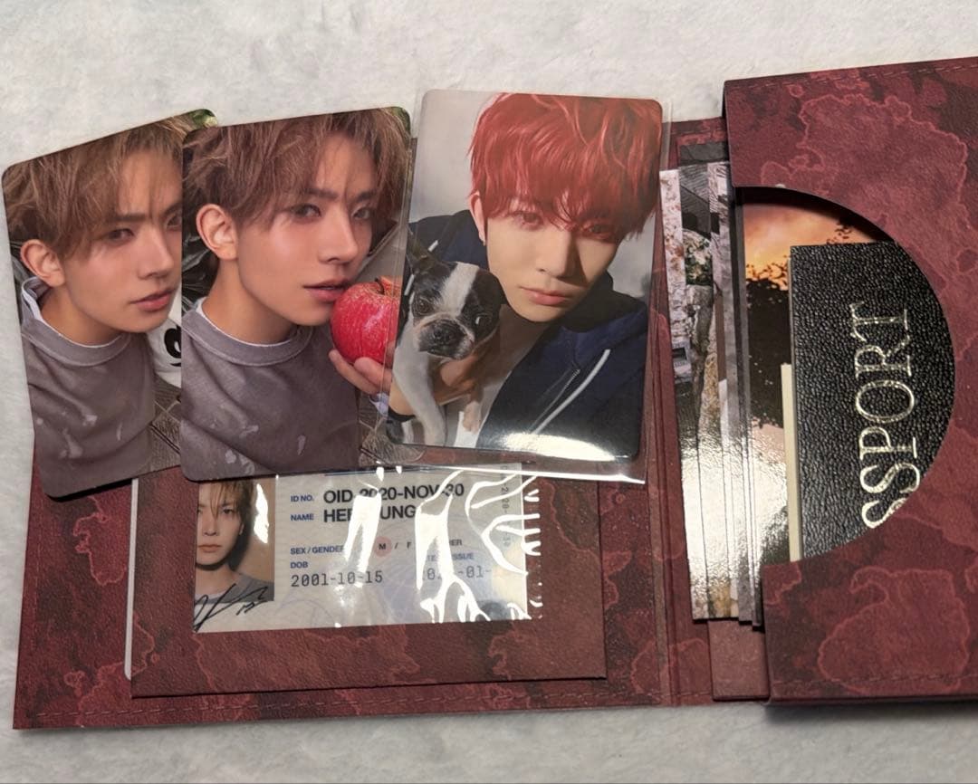 ENHYPEN アンケートトレカ 希少 THE SIN VANISHヒスンセット