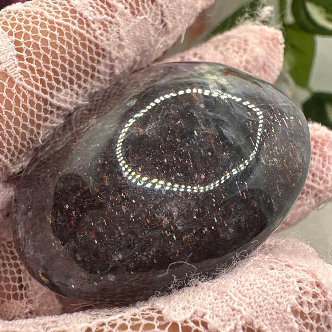 アイオライト♡サンストーン共生♡パーム♡ No.1551