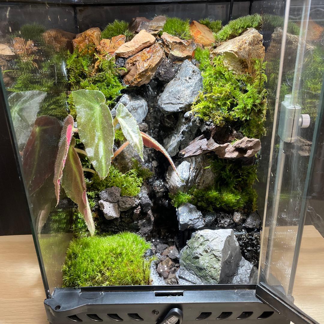 【受注生産】大きな滝のあるアクアテラリウム