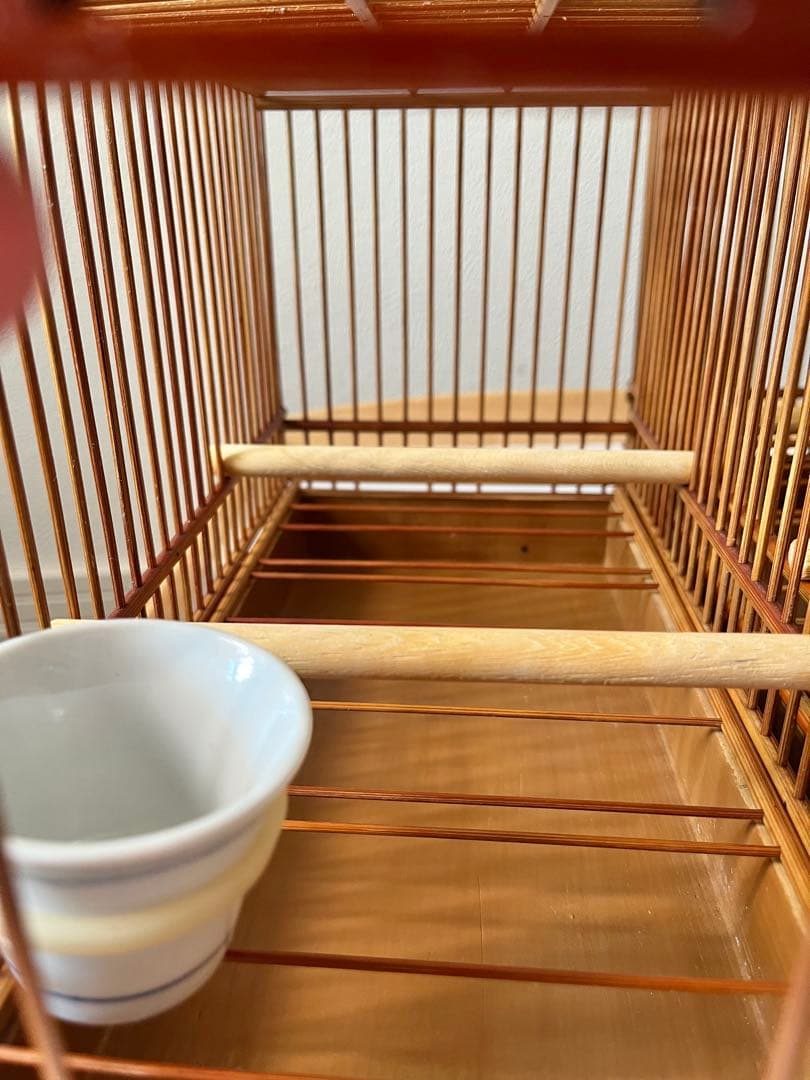 山一竹籠　メジロ籠