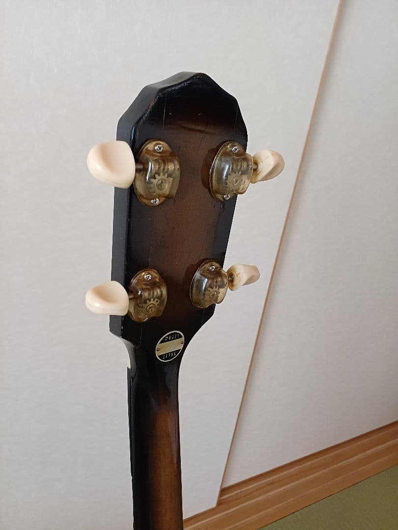 【送料込】【レア】ナルダン　NARDAN バンジョー　整備済