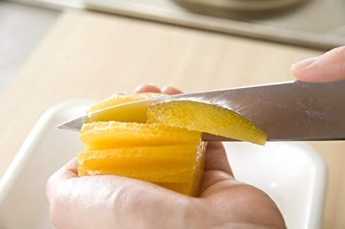 Aグローバル イスト ペティナイフ シルバー 刃渡り15cm IST-02