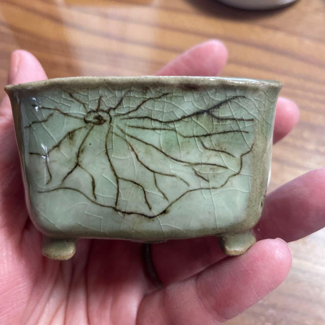 77蝉耳　鉢　横6.8㎝　縦5.2㎝　高さ4.1㎝