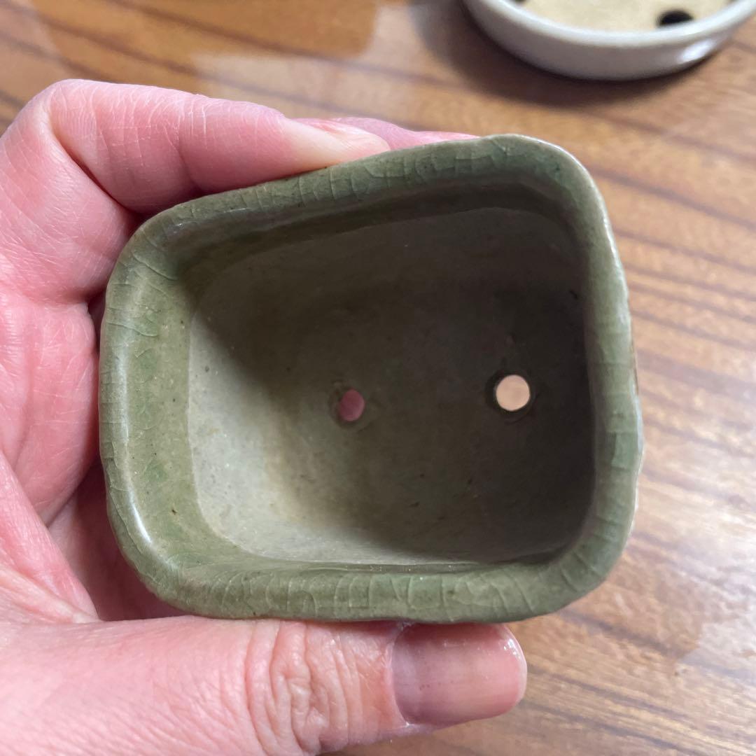 77蝉耳　鉢　横6.8㎝　縦5.2㎝　高さ4.1㎝