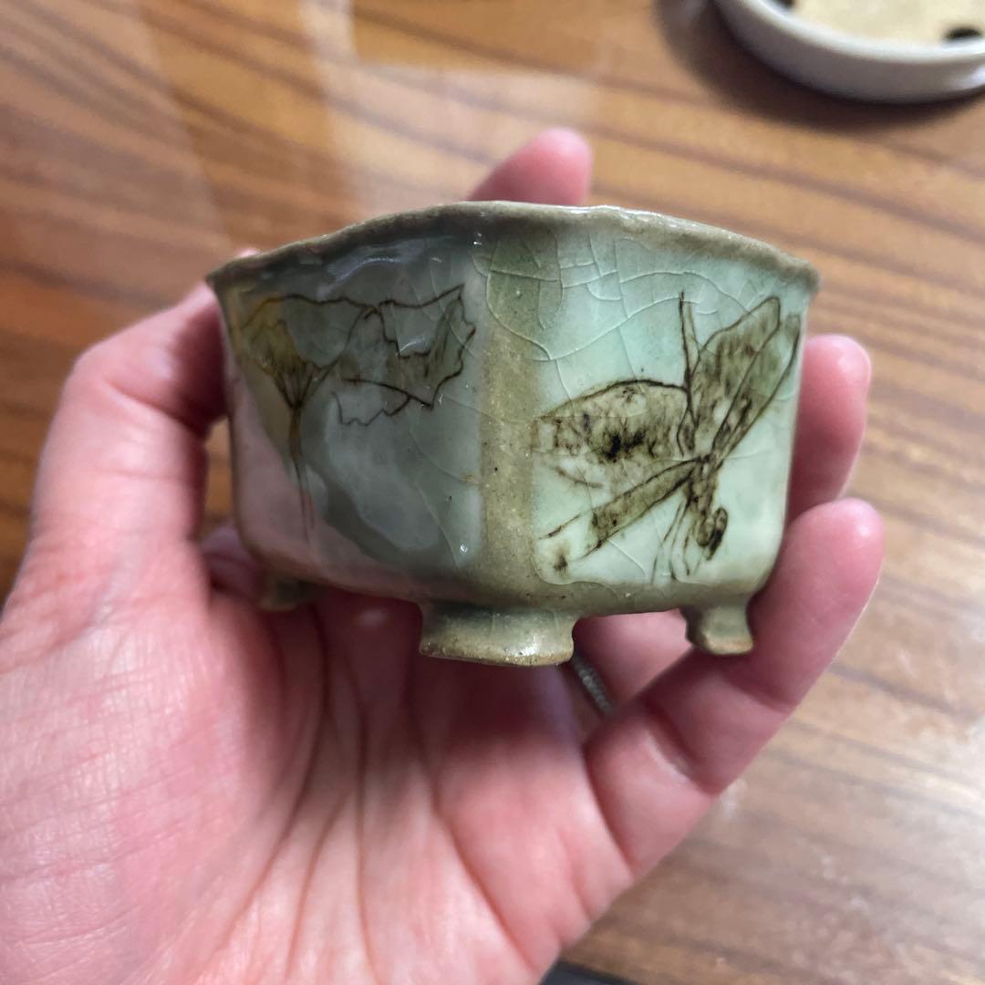 77蝉耳　鉢　横6.8㎝　縦5.2㎝　高さ4.1㎝