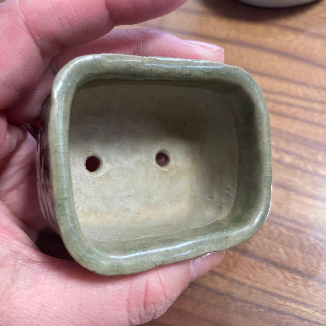 77蝉耳　鉢　横6.8㎝　縦5.2㎝　高さ4.1㎝