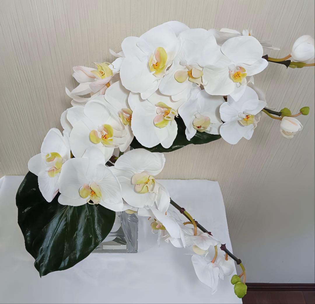 光触媒　観葉植物　フェイクグリーン　エミリオロバ　ファレノプシス4L 胡蝶蘭