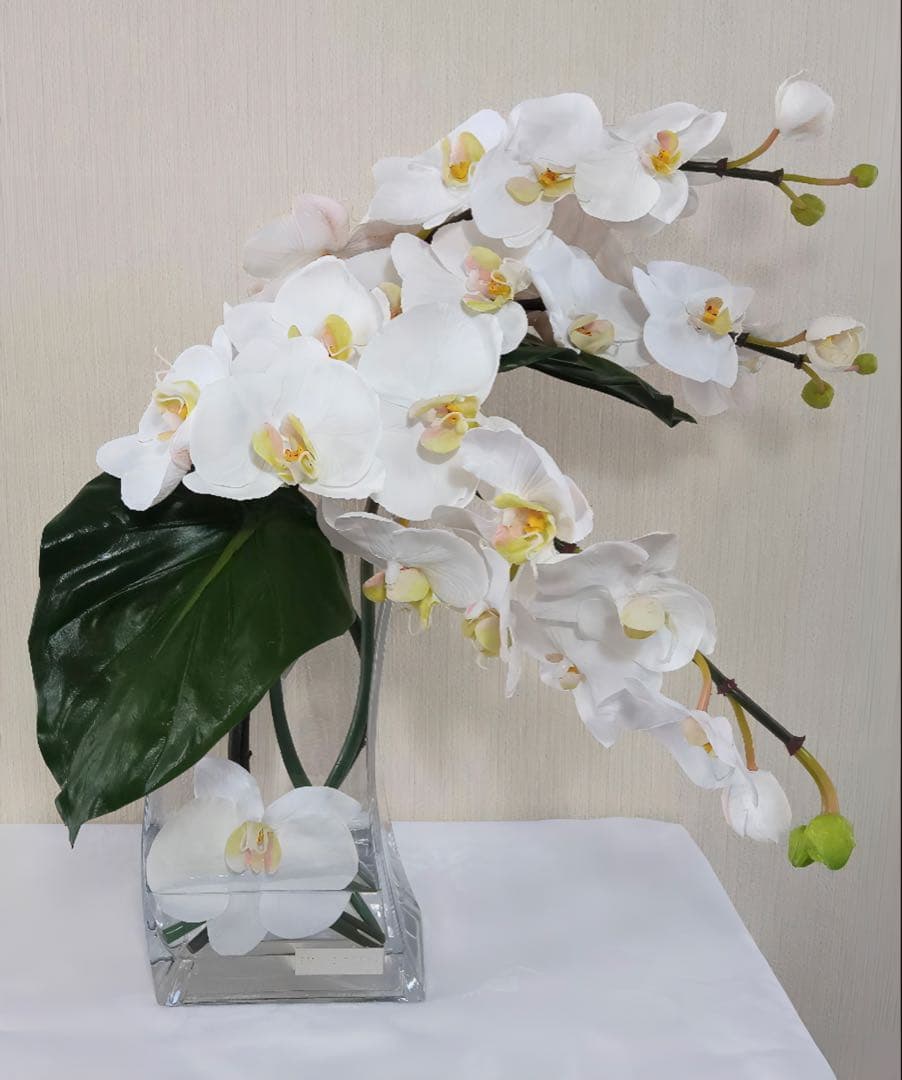 光触媒　観葉植物　フェイクグリーン　エミリオロバ　ファレノプシス4L 胡蝶蘭