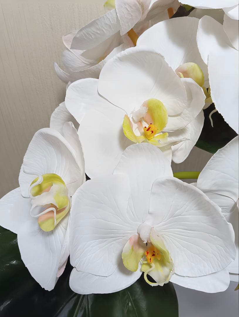 光触媒　観葉植物　フェイクグリーン　エミリオロバ　ファレノプシス4L 胡蝶蘭