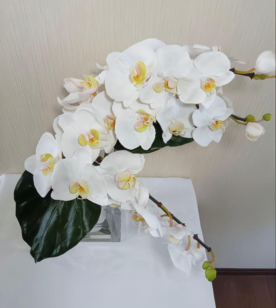 光触媒　観葉植物　フェイクグリーン　エミリオロバ　ファレノプシス4L 胡蝶蘭