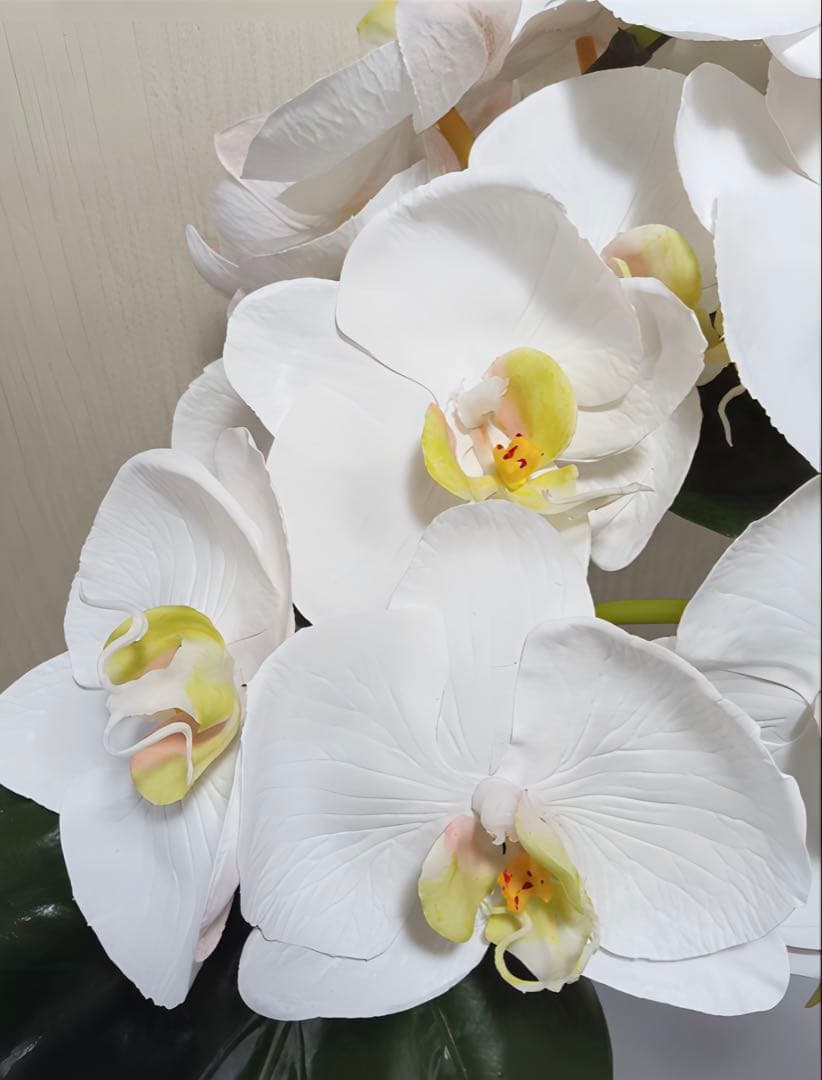 光触媒　観葉植物　フェイクグリーン　エミリオロバ　ファレノプシス4L 胡蝶蘭