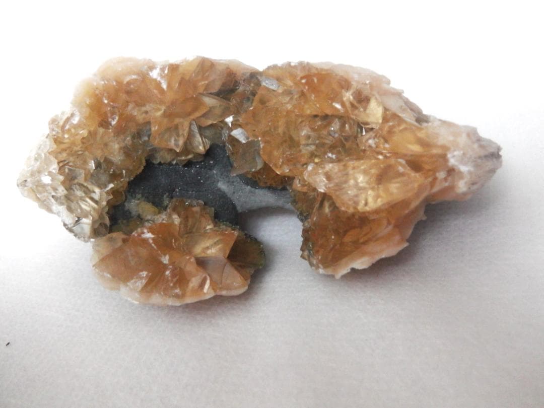 m盆・・・さま専用：方解石化した二枚貝の化石 カルサイト 鉱物標本 蛍光鉱物