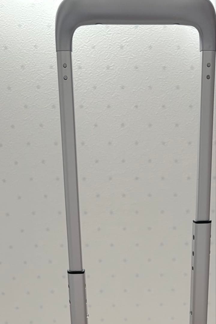 キャリーバッグ　フリクエンター