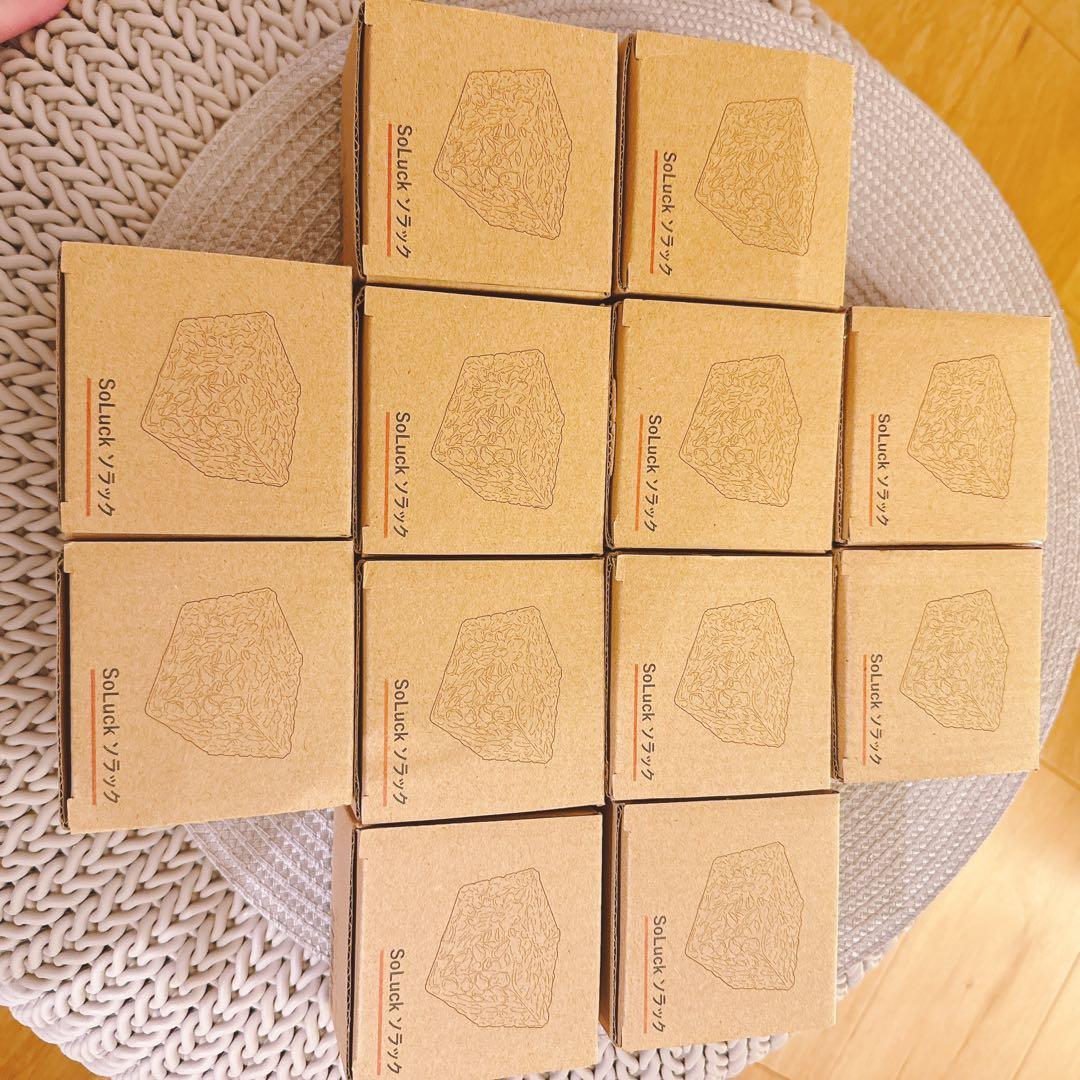 ソーラーライト12個SoLuck(ソラック ソーラーライト ガーデンライト