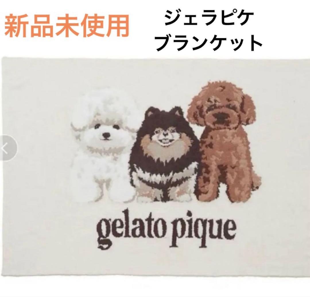 ジェラートピケ　犬3匹　パウダーDOG3柄　ブランケット　ジェラピケ