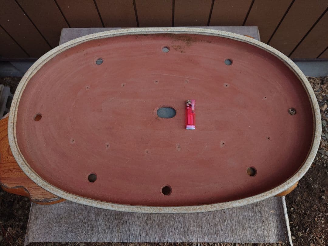 盆栽　鉢　緑巳斉春松　幅77cm