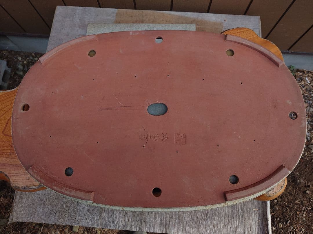 盆栽　鉢　緑巳斉春松　幅77cm