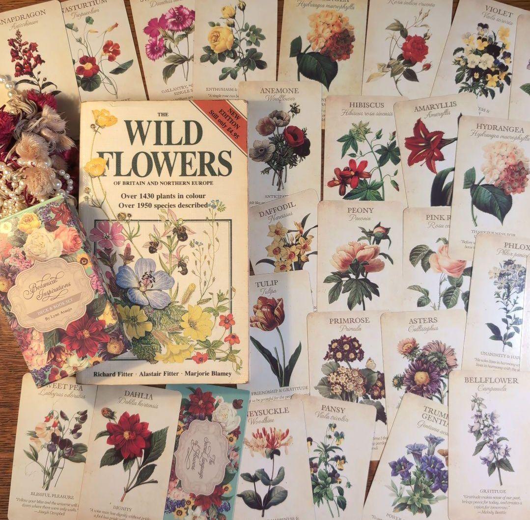 みどりさま専用